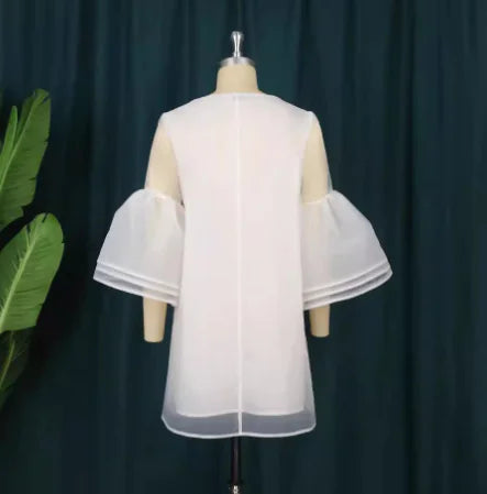 Elegant Fairy Mesh Gown